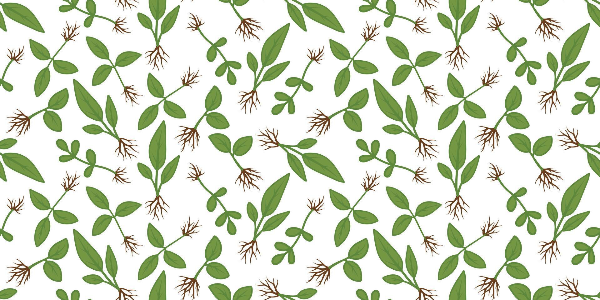 Root Pattern Wallpapers Green Leaf and Root Pattern for Background Design 77314033 Vector Art ...