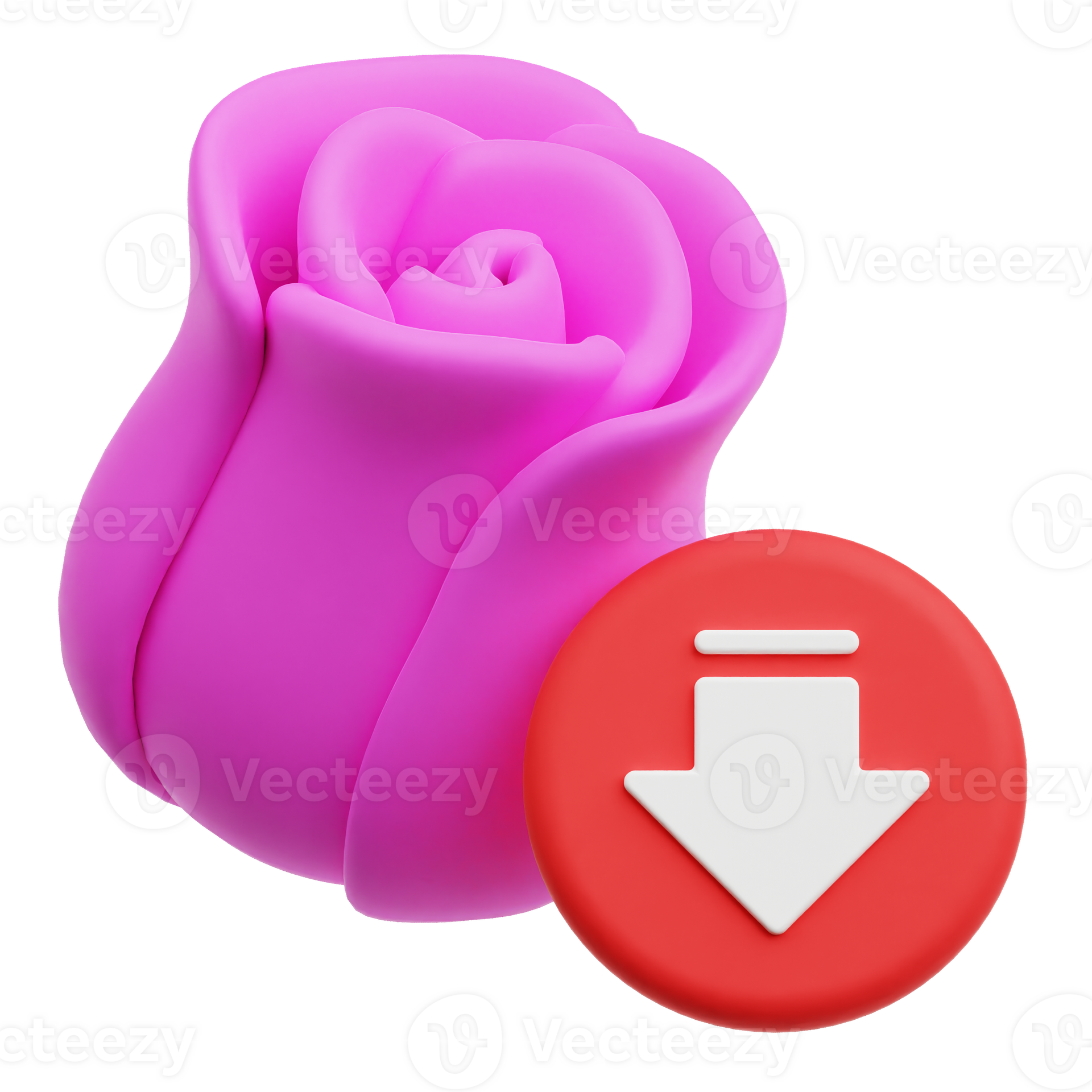 Decrease Pink Rose 3D Icon Isolated On Transparent Background 77606458 PNG