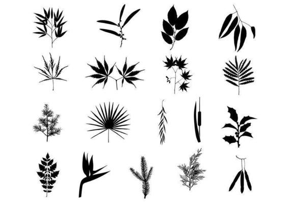 Beautiful Branches Vector Pack