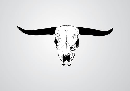 Animal Skull Vector - Download Free Vector Art, Stock Graphics & Images