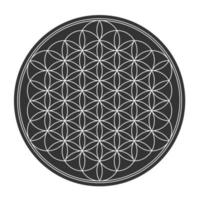 Flower Of Life Vector Art, Icons, and Graphics for Free Download