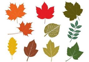 Fall Leaves Vector Pack