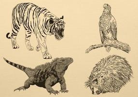 Hand Drawn Animal Vector Pack