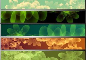 8 Conjunto de Banner de vector de colores florales