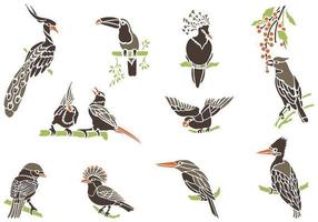 Exotic Bird Vectors on Branches Pack