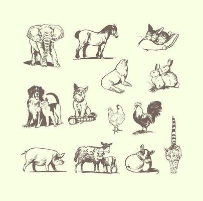 Pets and Zoo Animal Vector Pack