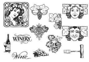 Vintage Grapes and Wine Vector Pack