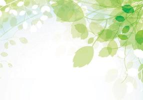 Spring Leaves Vector Background