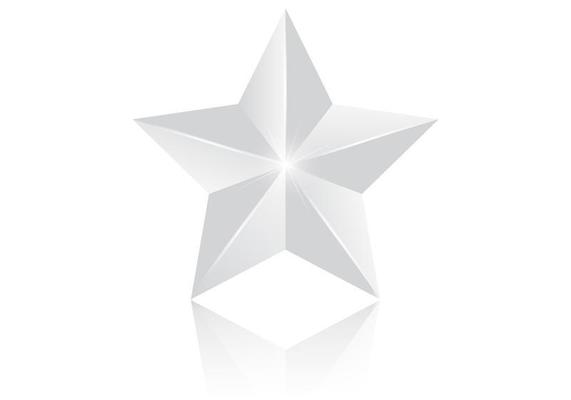 3D Silver Star Vector
