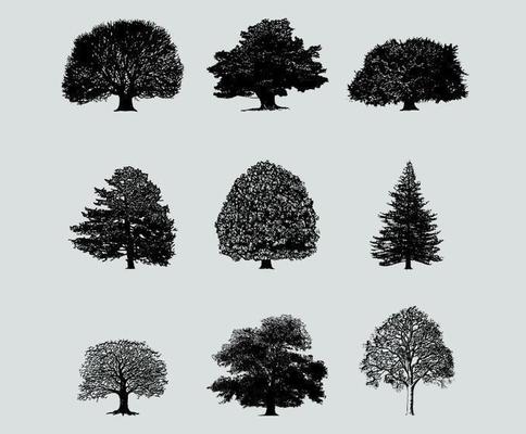 Silhouette Tree Vector Pack