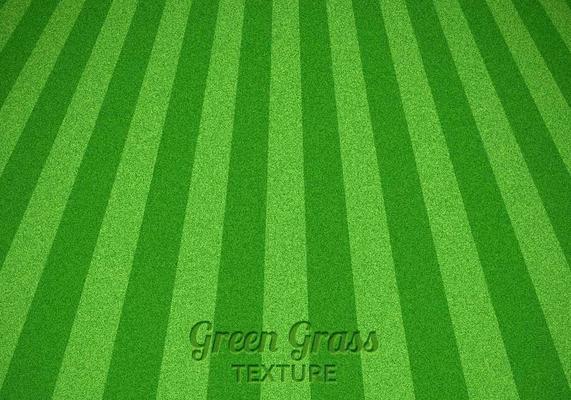 Mowed Green Grass Vector Texture