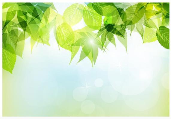 Bokeh Spring Leaves Vector Background