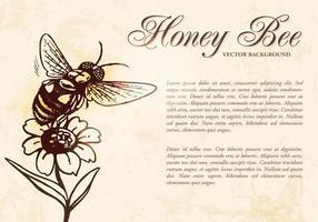 Honey Bee Background Vector