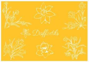 Daffodil Vector Pack