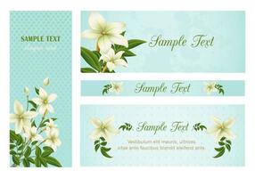 Lily Banners Vector