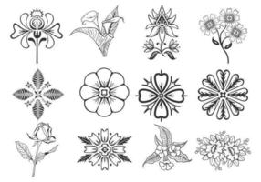 Elementos de diseño floral Vector Pack