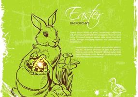 Easter Bunny Vector Background