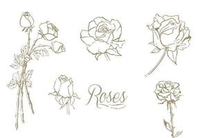 Hand Drawn Roses Vector Set