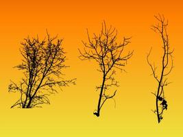 Tree Clipart - (18257 Free Downloads)