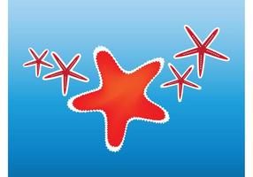 Blue Starfish Restaurant Vero Beach Blue Starfish Restaurant Vero Beach