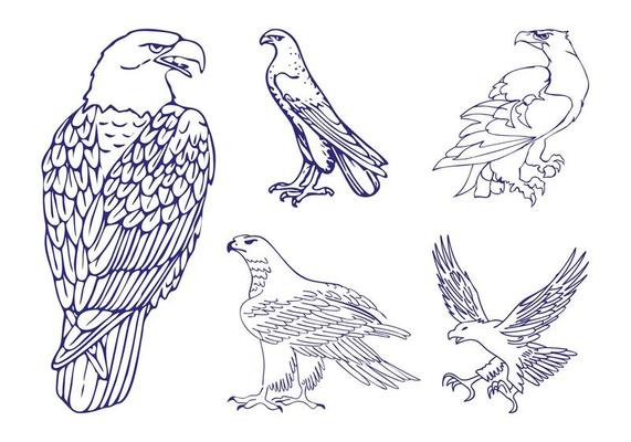 Feather Vector Pack