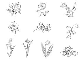 Drawn Flower Vector Set