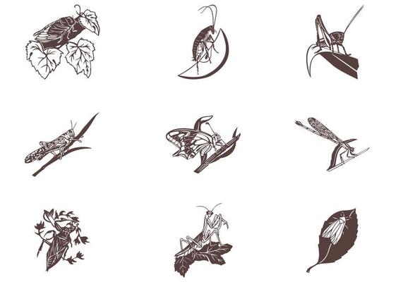 Insects on Leaves Vector Set