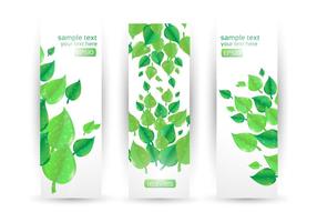 Leaf Banner Vector Set