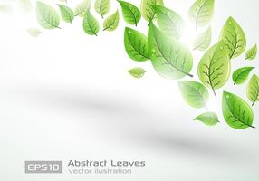 Leaf Background Vector