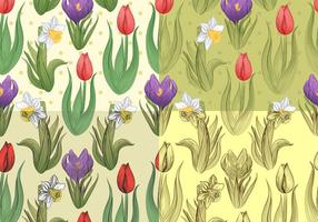 Seamless Tulip and Daffodil Vector Patterns