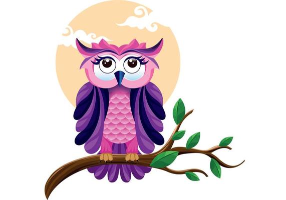 The Beautiful Owl Vector 