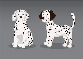 Dalmation Puppy Vector 