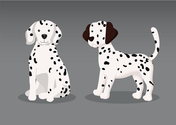 Dalmation Puppy Vector 