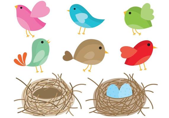 Birds In Nest Vector 