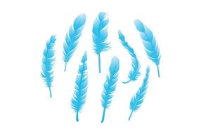 Feather Isolated Vector Pack  