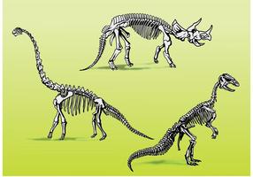 esqueleto de vetor de tiranossauro rex t-rex em fundo isolado. crânio e  pescoço. 2680869 Vetor no Vecteezy