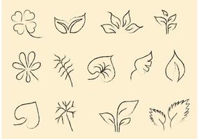 Sketchy Leaf Vector Set 