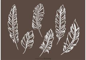 Chalk Drawn Feather Vector Pack