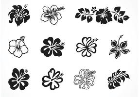 Vector Hibiscus siluetas gratis