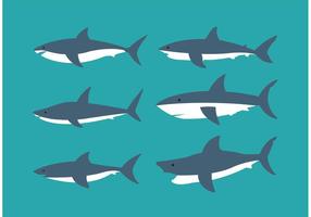 Shark collection vector