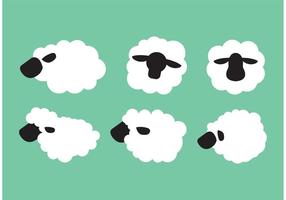 Sheep isolated vector