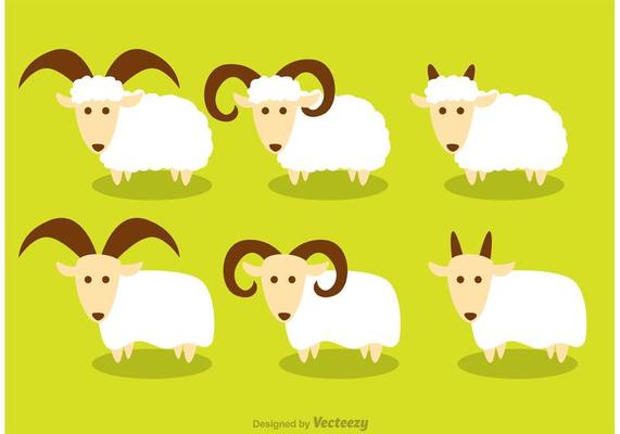Horned Sheep Vectors