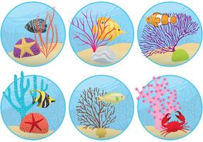 Mini Coral Reefs vector