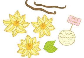 Hand Drawn Vanilla Flower Vectors