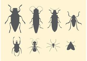 Vector conjunto de insectos