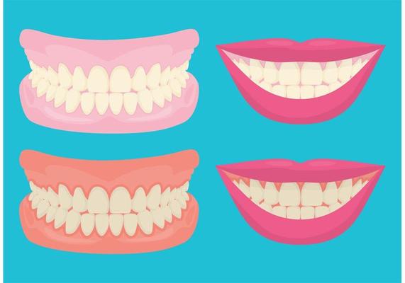 Teeth And Gums Smiling