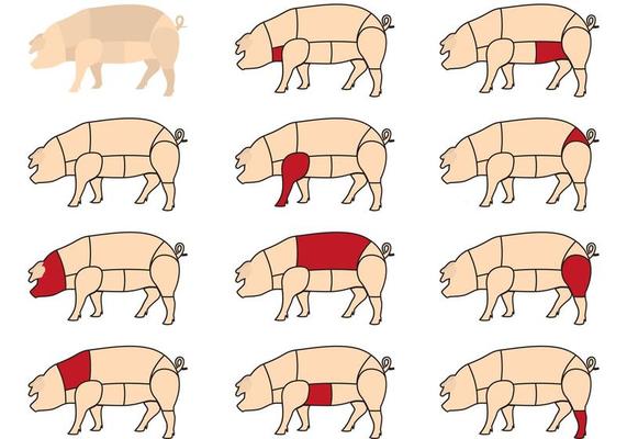 Butcher Diagram Vector Art, Icons, and Graphics for Free Download