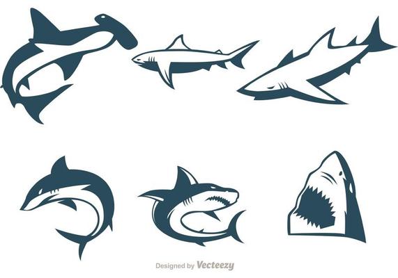 Collection Of Shark Vectors