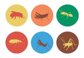 Vector Insects