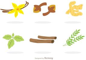 Collection Of Spices Vectors